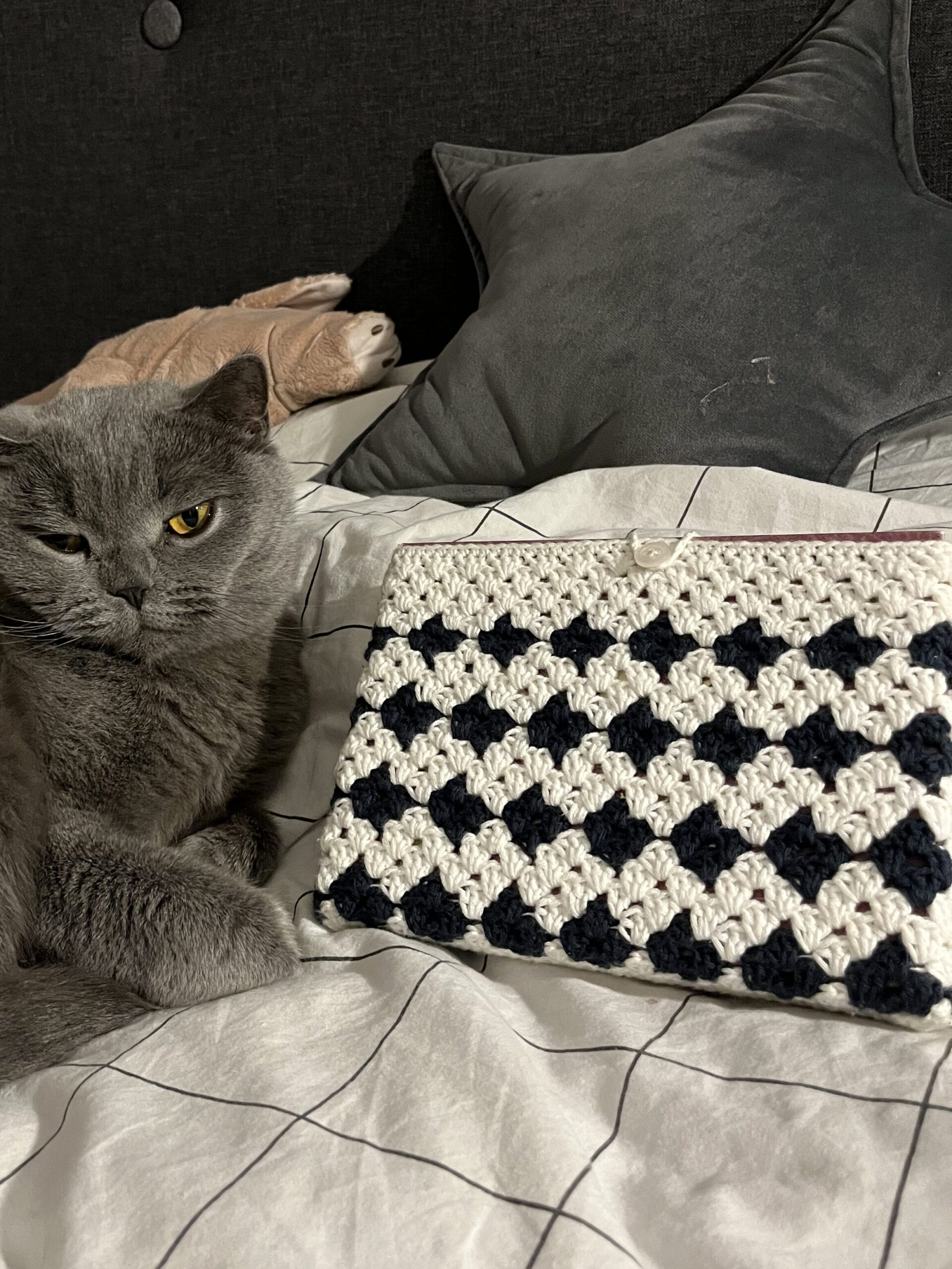 Crochet Book Sleeve Pattern ✉︎